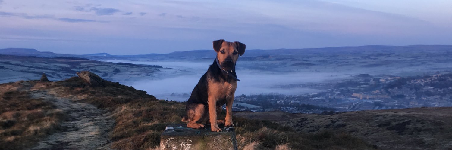 Tom_mayfield_'s profile banner image