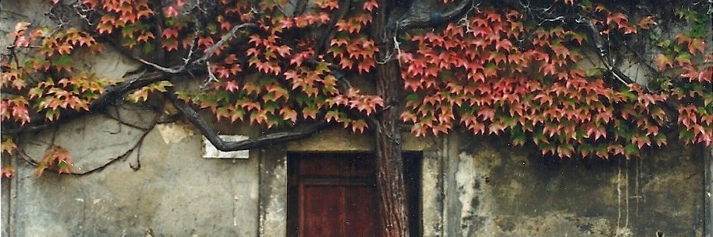 HaeringEllen's profile banner image