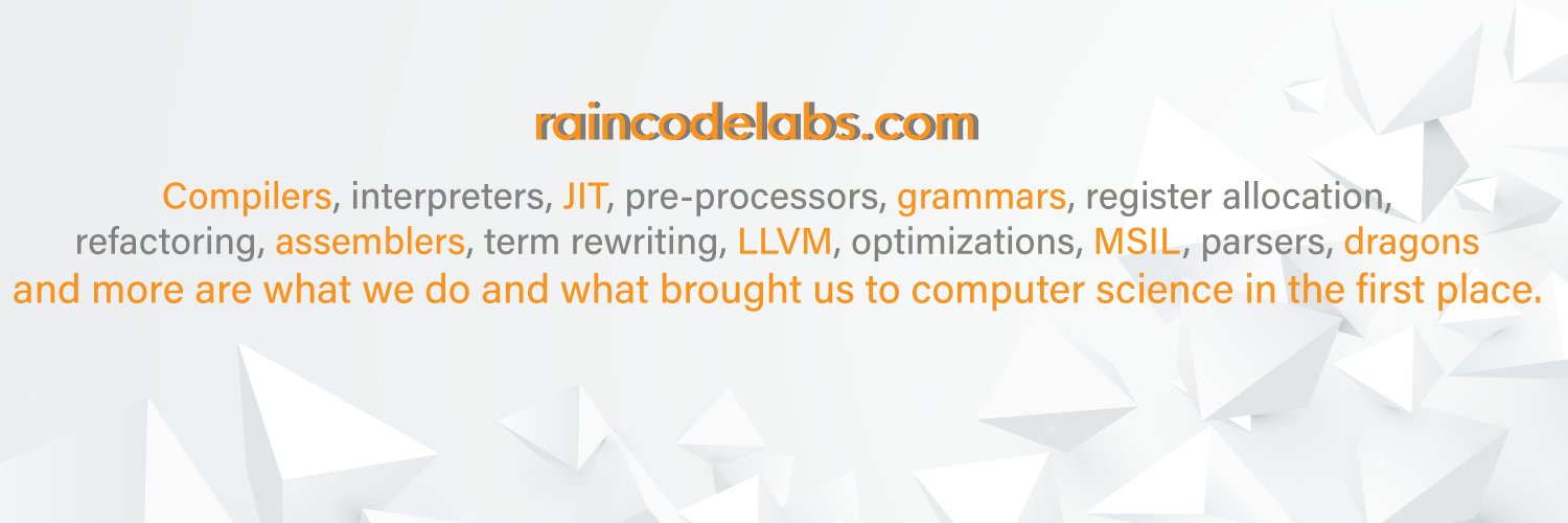 RaincodeLabs banner