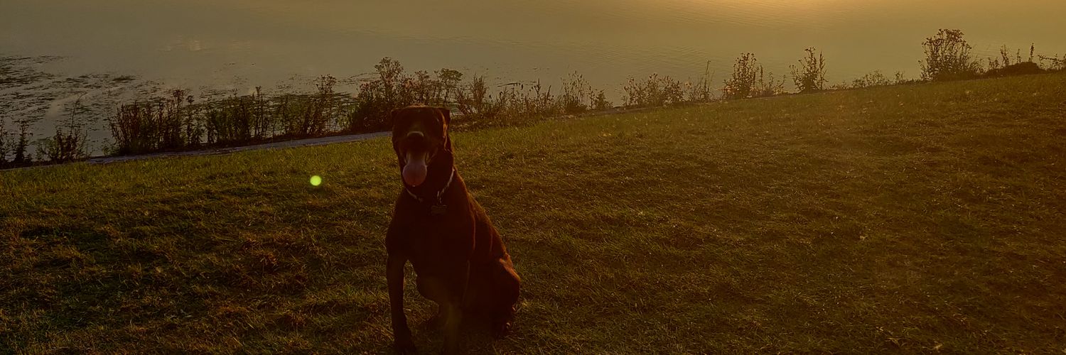 Reece banner