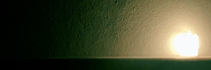 ʕ•ᴥ•ʔ banner