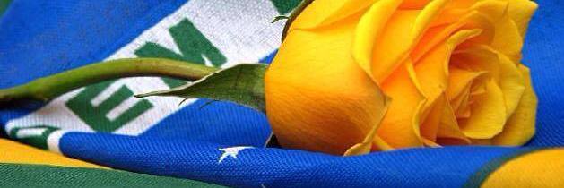lucianavigna's profile banner image