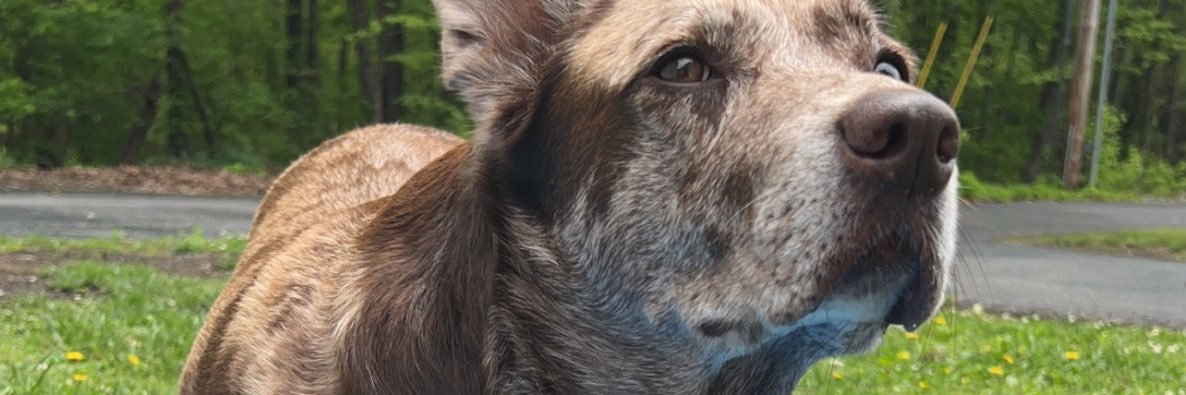 SidneyW34's profile banner image