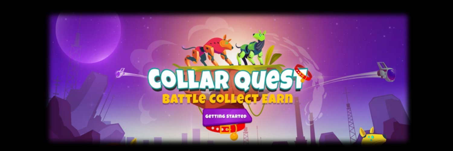 Collar Informer banner