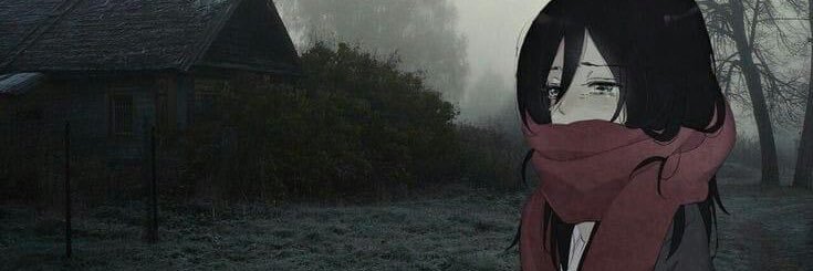 litlysss__'s profile banner image