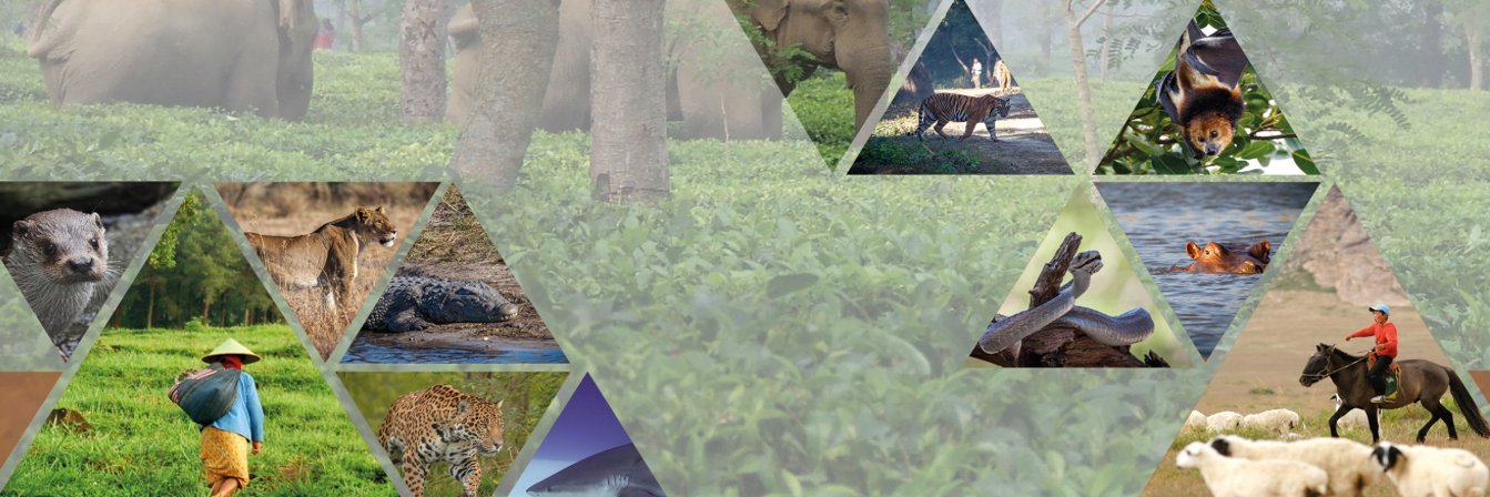 IUCN SSC Human-Wildlife Conflict & Coexistence SG banner