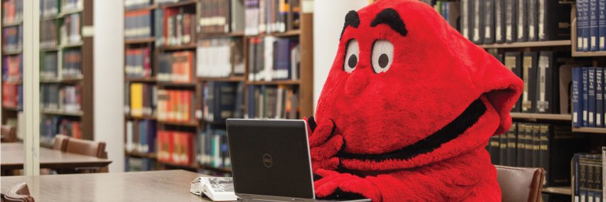 WKUSummerStart's profile banner image