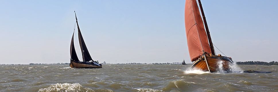 willemvanbeek's profile banner image