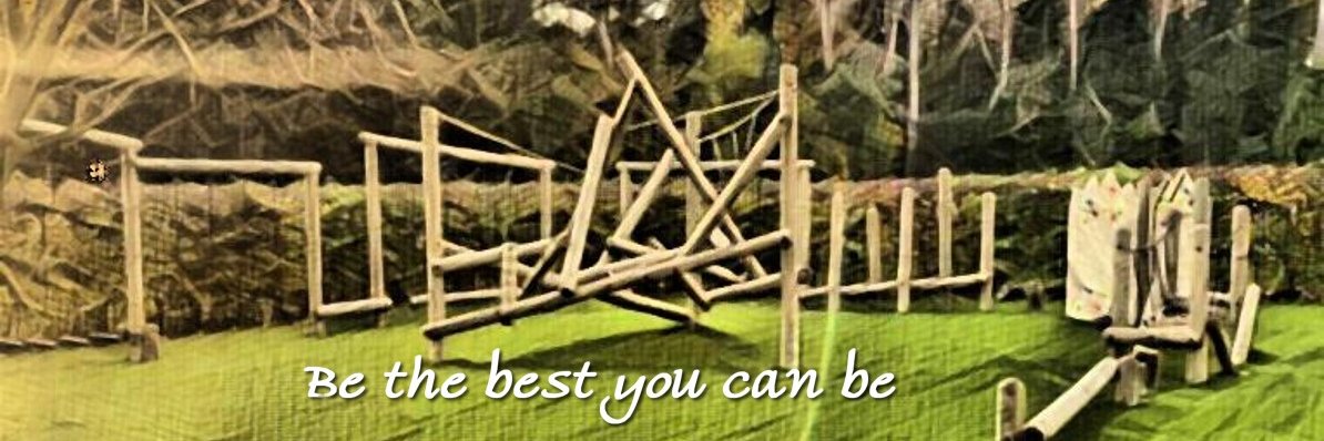 Christleton Primary banner