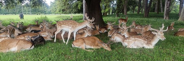 shanaka159 Profile Banner