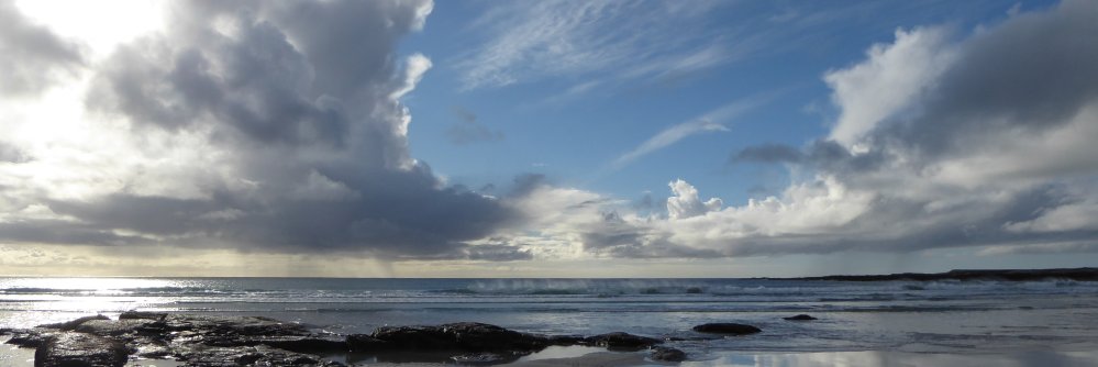 Fiona Schaefer banner