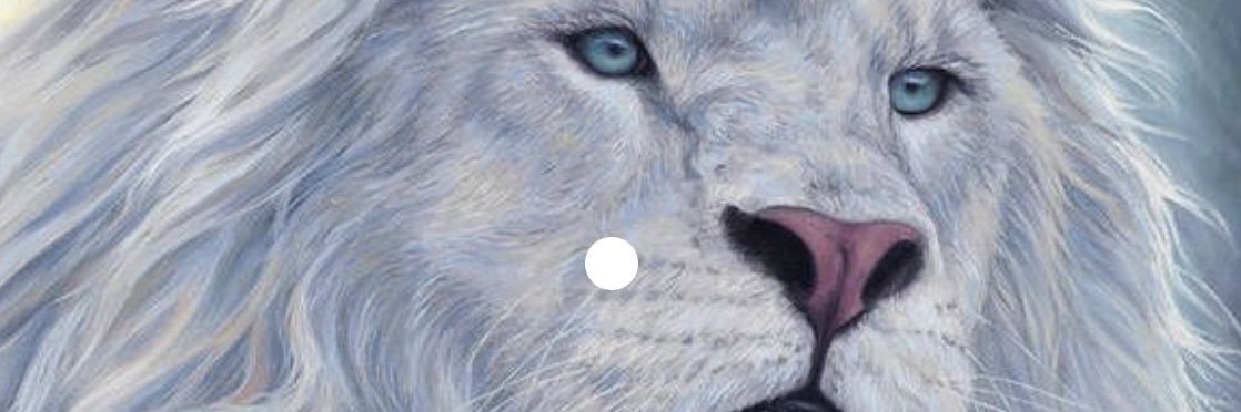fatima_sam96's profile banner image
