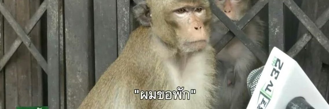 มูมูชู่ว🫵🏻 banner