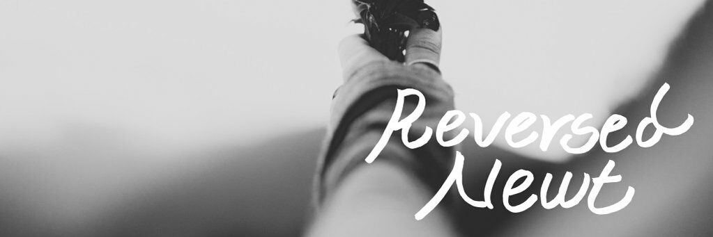 Newt Scamander banner