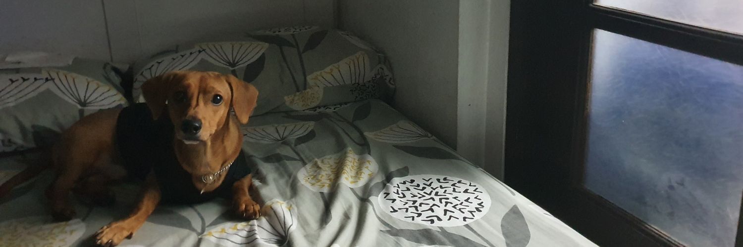 janxolea's profile banner image