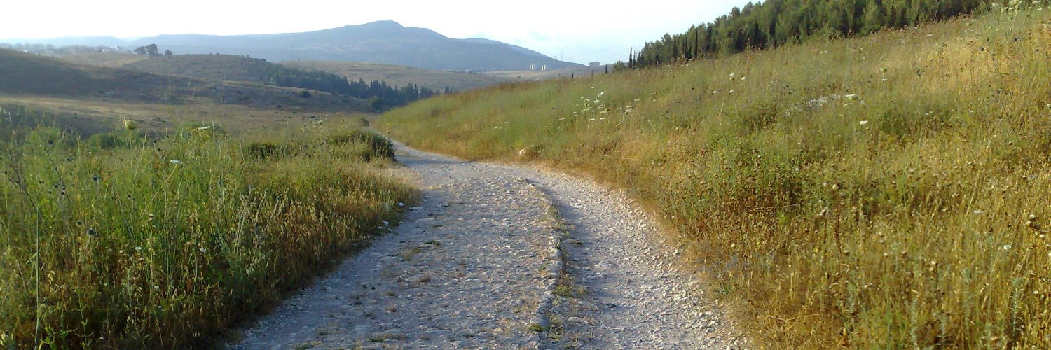 smorganwallace's profile banner image