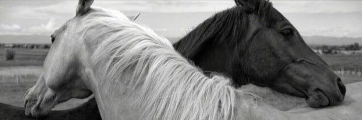 saudiaaaaa's profile banner image