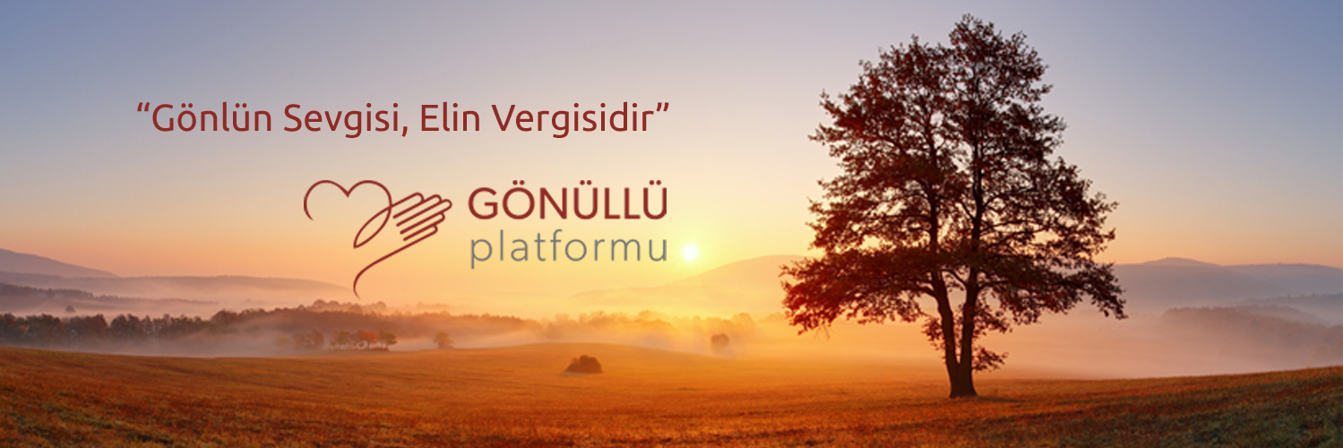 GonulluP's profile banner image