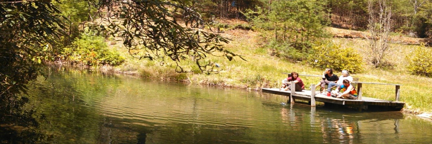 Beverly Ayers banner