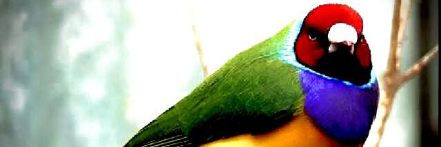 MartaPi2's profile banner image