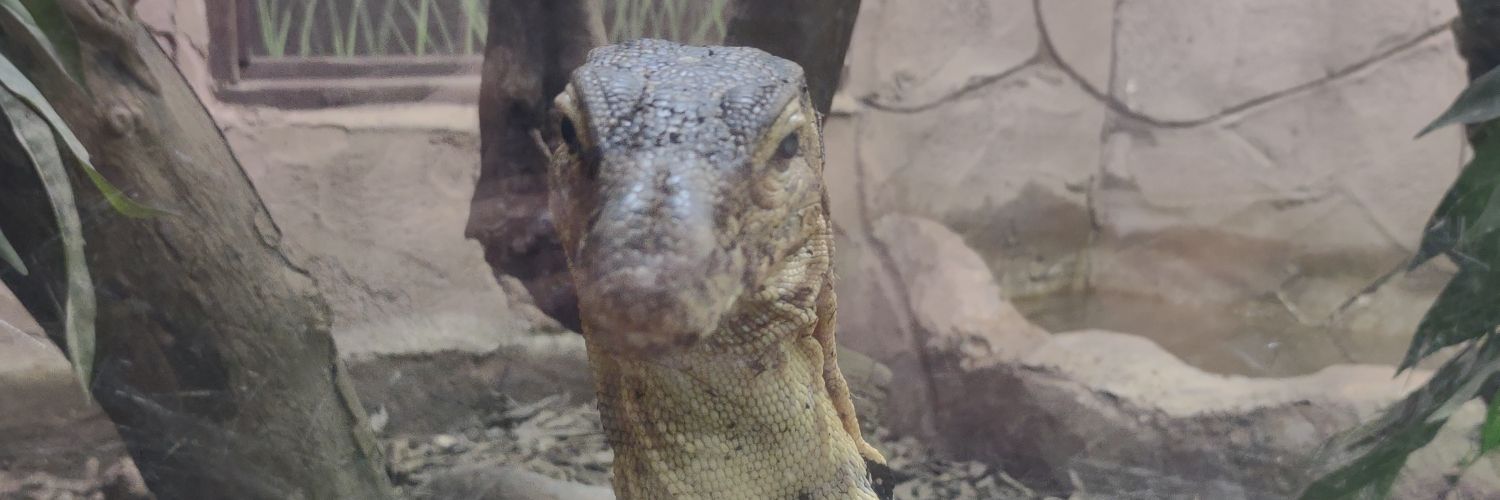 Smells Fishy! banner