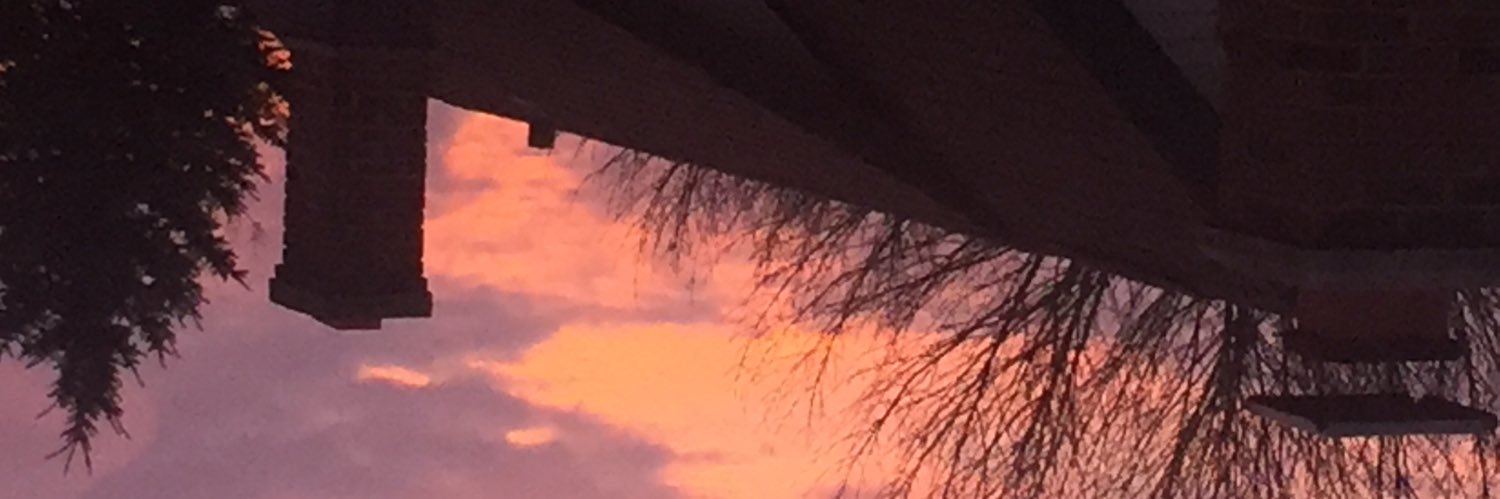 notSmemzen's profile banner image