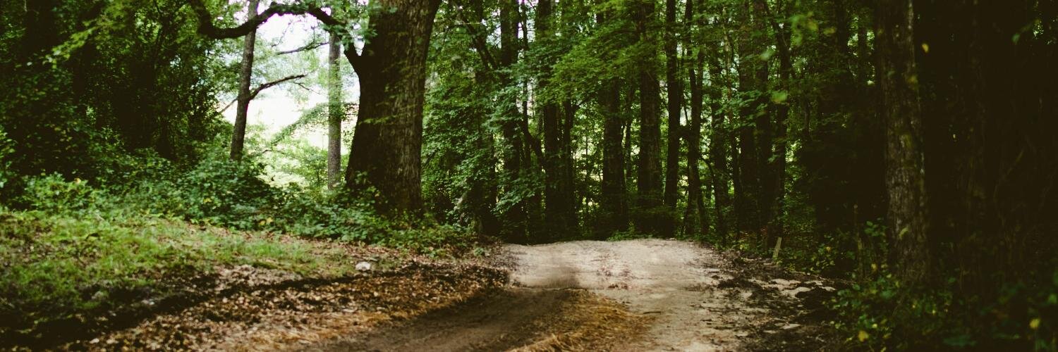 wildfiction's profile banner image