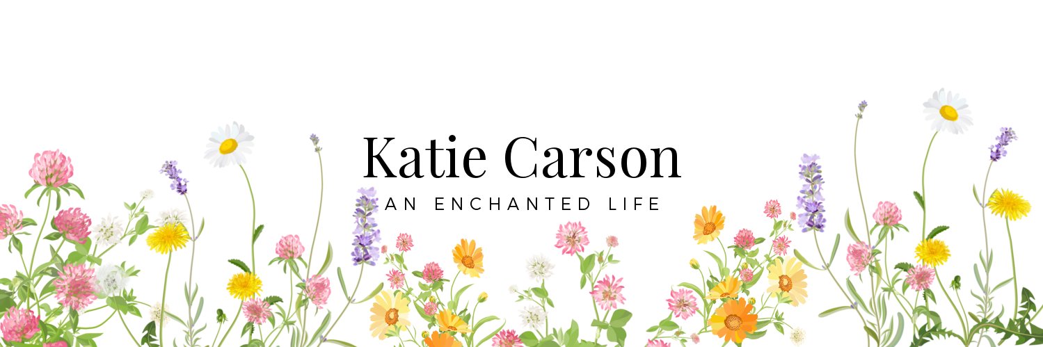 KatieWCarson's profile banner image