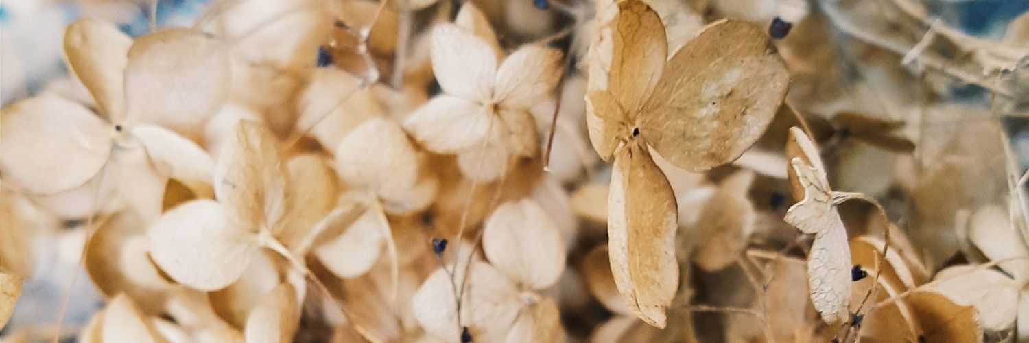 kpredbook's profile banner image