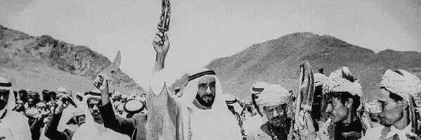 Zayed banner