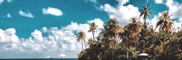 anasueltschi's profile banner image