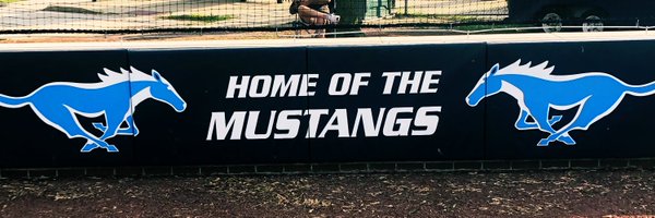 DgsBaseball Profile Banner