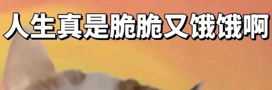 LAnderade's profile banner image