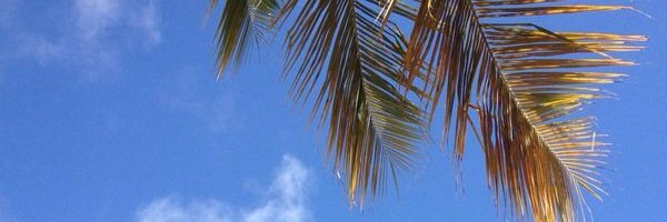 edwinargl's profile banner image