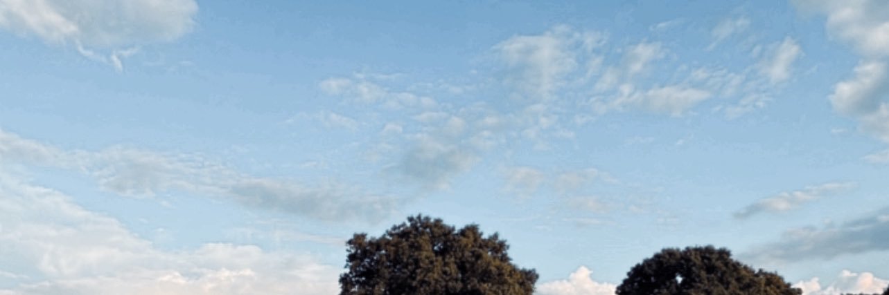 RVafa's profile banner image