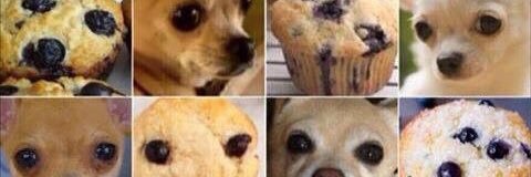 Vergangster's profile banner image