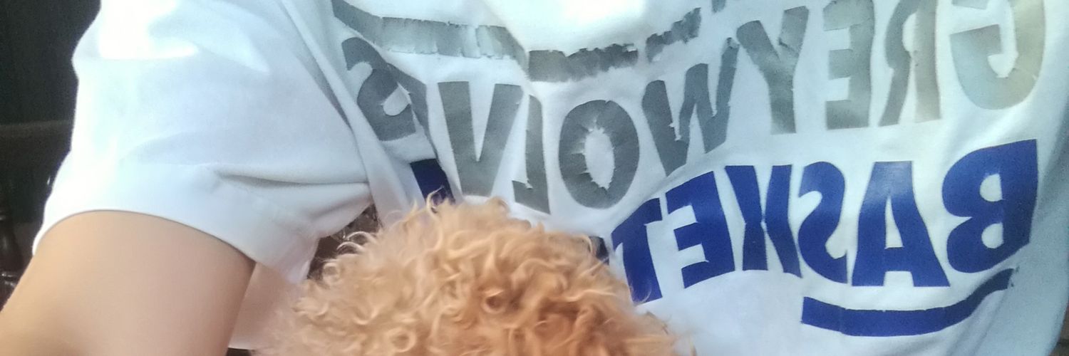 JayyySe's profile banner image
