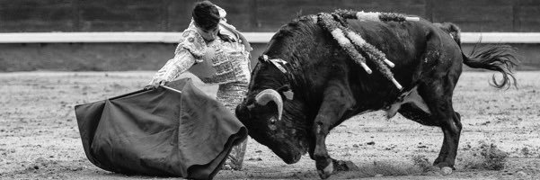 Alejandro Chicharro banner