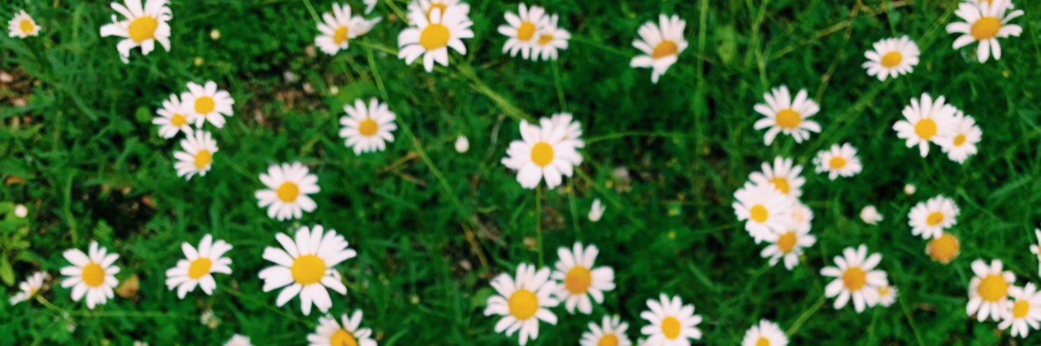 ally_brooker's profile banner image