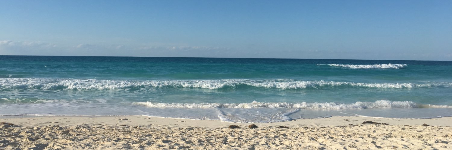 MercedesCavallo's profile banner image