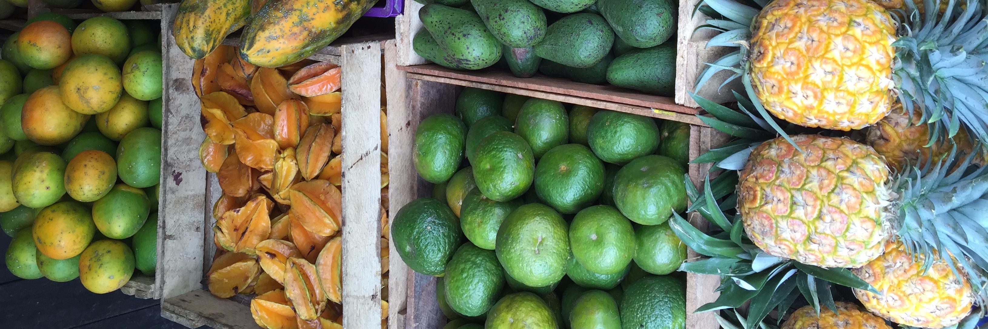 Kate Wheeling banner