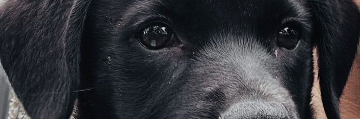 Medina🥶☃️❄️🪅 banner