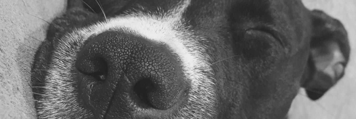 tayler_d's profile banner image