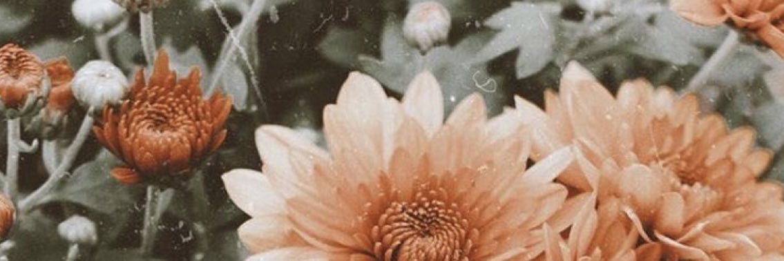 sbella712's profile banner image