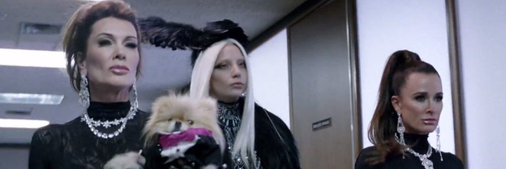 queensandrose's profile banner image