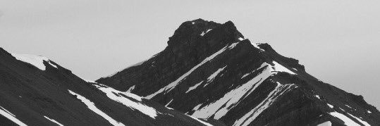 xNoahRoss's profile banner image