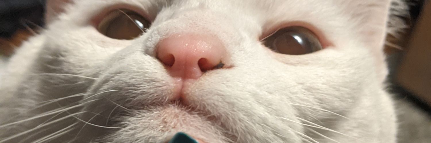 ssbmWoley's profile banner image
