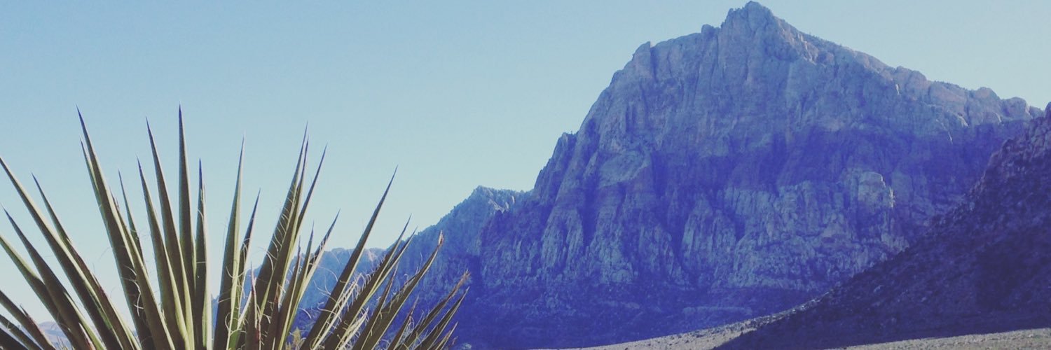 mmguilfoyle's profile banner image