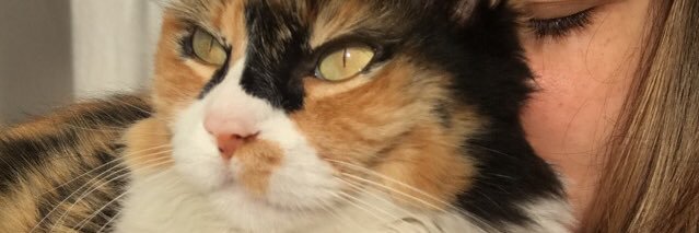 luciabgut's profile banner image