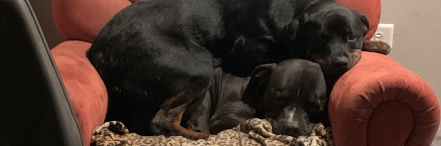 Bronko_3's profile banner image